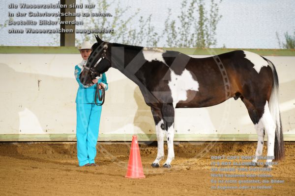 s_K3F05509.jpg